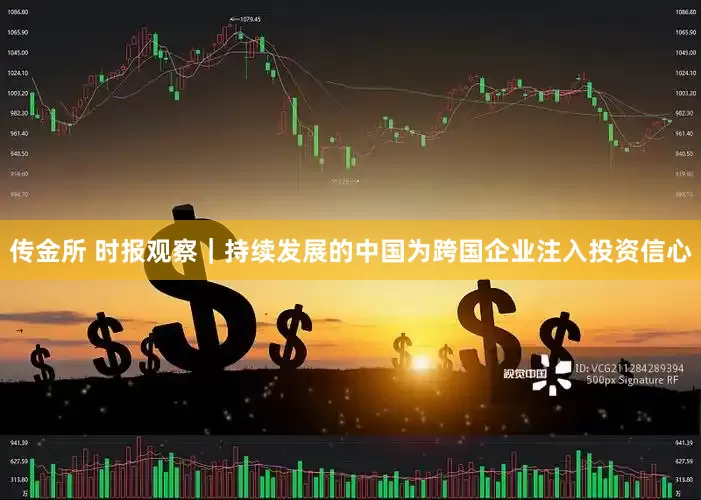 传金所 时报观察｜持续发展的中国为跨国企业注入投资信心