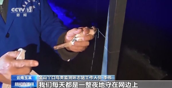 财富e99 候鸟“打卡”哀牢山迁徙通道 鸟类环志工作启动