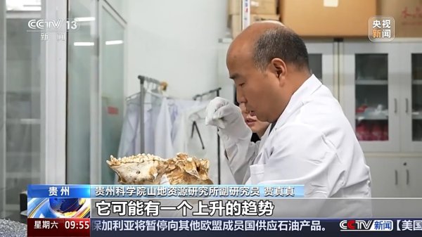 热丰网 200万年前大熊猫的大小只有现在的一半？有化石为证
